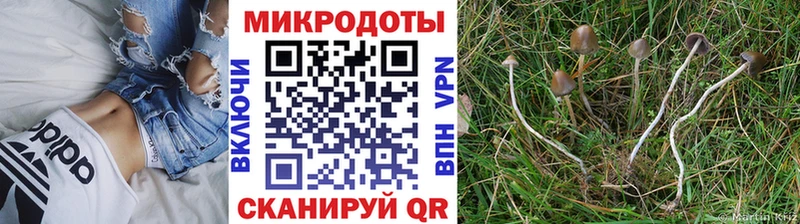 Псилоцибиновые грибы GOLDEN TEACHER Братск