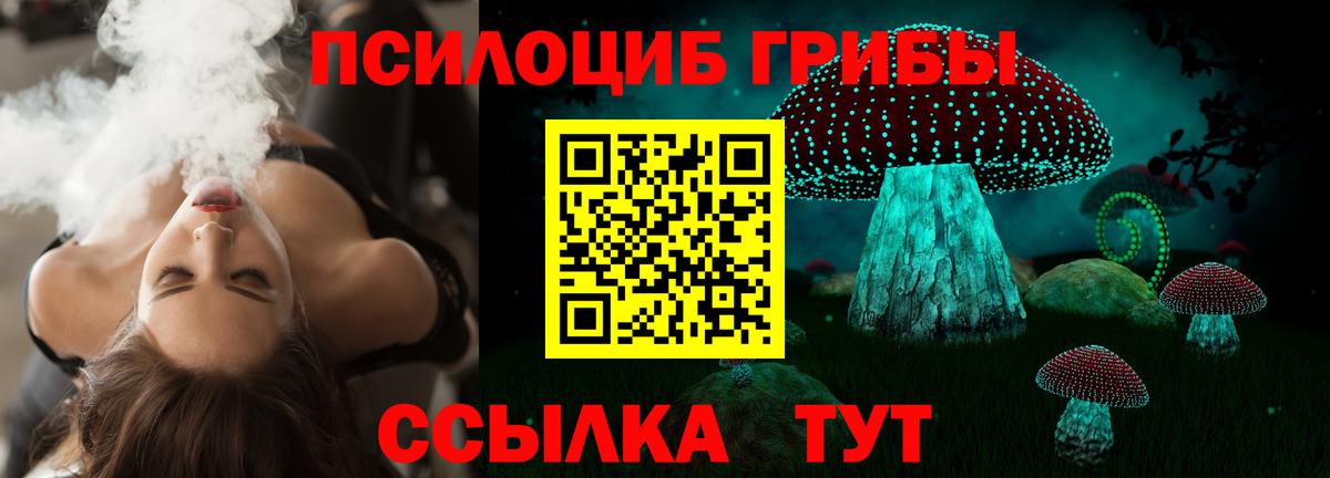 Галлюциногенные грибы Psilocybe  Псилоцибиновые грибы MAGIC MUSHROOMS  как найти закладки  Братск  Вход с VPN 